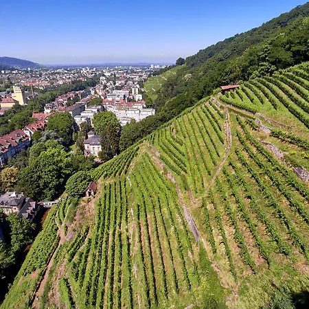 Citynahes Fuer Ganze Familie Oder Gruppen In Ruhiger Lage